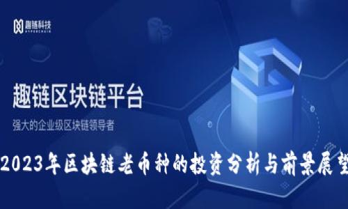 2023年区块链老币种的投资分析与前景展望