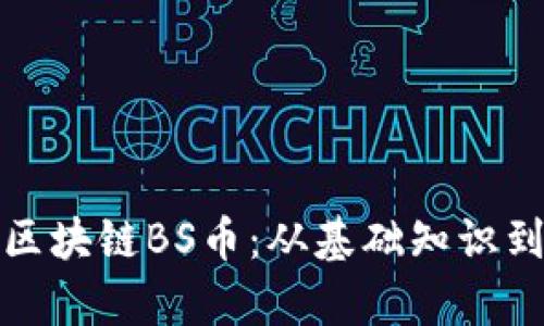 全面解读区块链BS币：从基础知识到应用前景