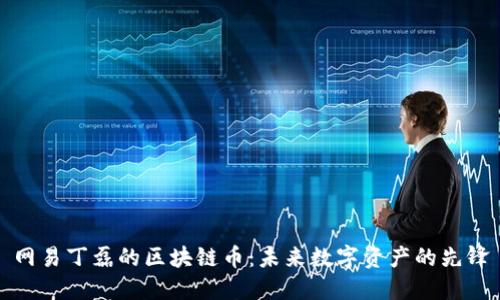 网易丁磊的区块链币：未来数字资产的先锋