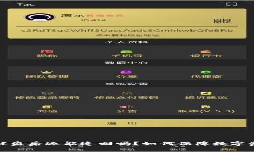 TP钱包被盗后还能追回吗？如何保障数字资产安全