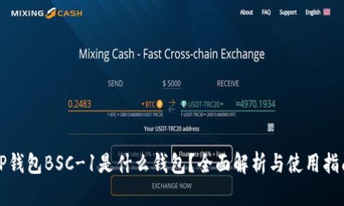 TP钱包BSC-1是什么钱包？全面解析与使用指南