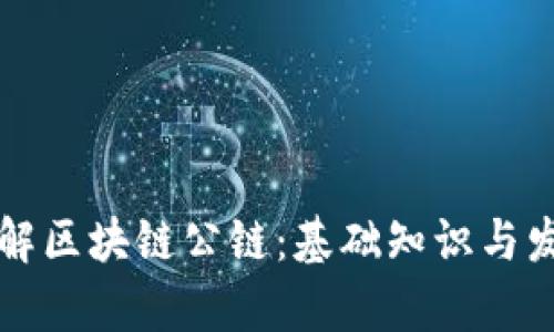 深入了解区块链公链：基础知识与发展前景