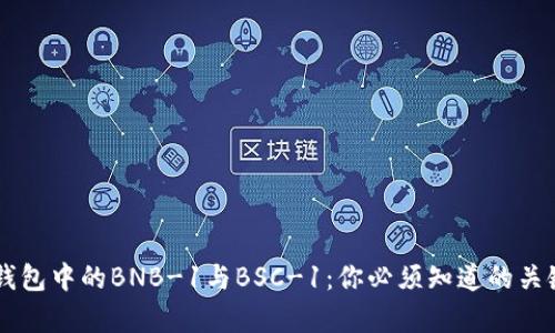 深入解析TP钱包中的BNB-1与BSC-1：你必须知道的关键差异与应用