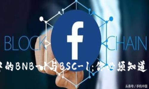 深入解析TP钱包中的BNB-1与BSC-1：你必须知道的关键差异与应用