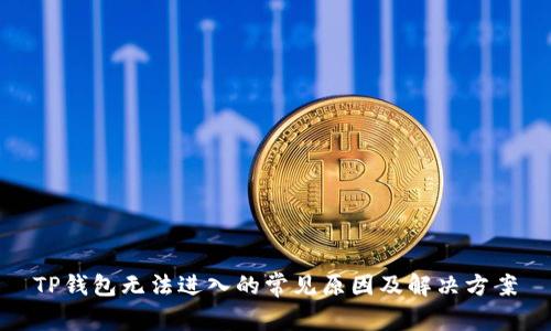 TP钱包无法进入的常见原因及解决方案