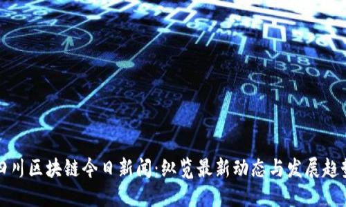 四川区块链今日新闻：纵览最新动态与发展趋势