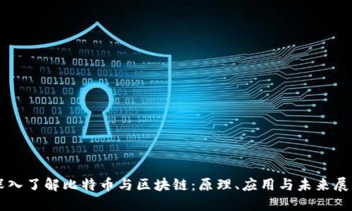 深入了解比特币与区块链：原理、应用与未来展望