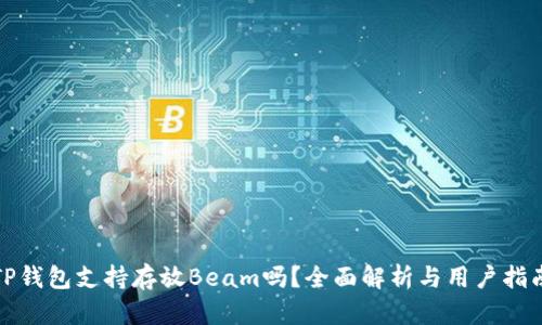 TP钱包支持存放Beam吗？全面解析与用户指南