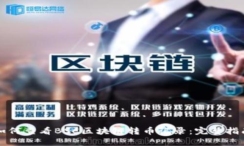 如何查看BSC区块链转币记录：完整指南