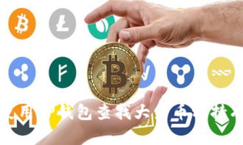 如何使用TP钱包查找大户币种持有情况