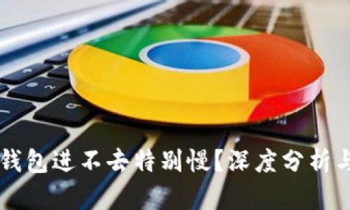为什么TP钱包进不去特别慢？深度分析与解决方案