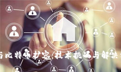 区块链与比特币扩容：技术挑战与解决方案分析
