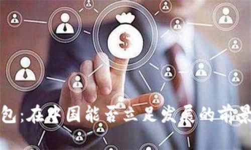 TP钱包：在中国能否立足发展的前景分析