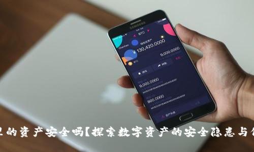TP钱包里的资产安全吗？探索数字资产的安全隐患与保护措施
