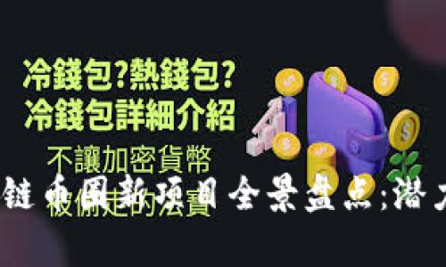 2023年区块链币圈新项目全景盘点：潜力与机遇并存