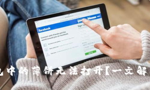 为何TP钱包中的薄饼无法打开？一文解答用户疑惑
