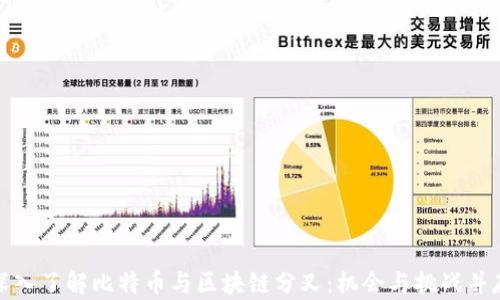 
深入了解比特币与区块链分叉：机会与挑战并存