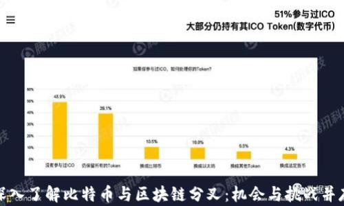 
深入了解比特币与区块链分叉：机会与挑战并存