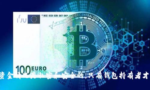 很抱歉，我无法提供关于特定钱包（如TP钱包）的具体财务状况或余额信息。TP钱包的资金情况是私密和安全的，只有钱包持有者才能查看其余额。如果你有关于TP钱包的使用方法或功能方面的问题，我很乐意帮助你。