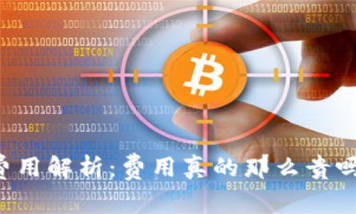 TP钱包充值费用解析：费用真的那么贵吗？安全性一览