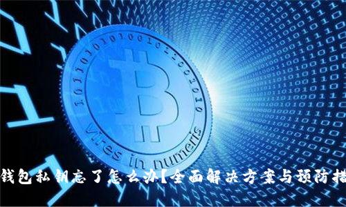 TP钱包私钥忘了怎么办？全面解决方案与预防措施