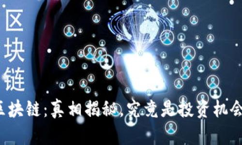比特币与区块链：真相揭秘，究竟是投资机会还是骗局？