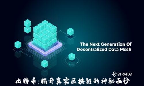 
比特币：揭开真实区块链的神秘面纱
