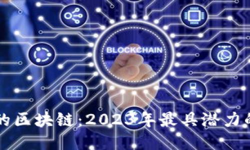 未来的区块链：2023年最具潜力的币种