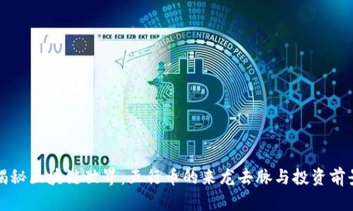 揭秘区块链世界：五行币的来龙去脉与投资前景