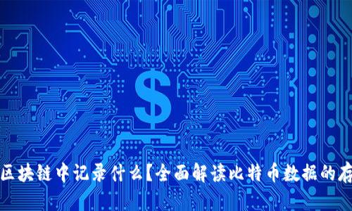 比特币在区块链中记录什么？全面解读比特币数据的存储与价值