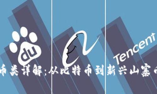 区块链项目币类详解：从比特币到新兴山寨币的全面解析