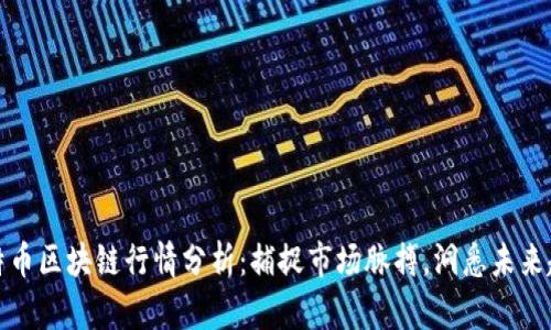 比特币区块链行情分析：捕捉市场脉搏，洞悉未来趋势