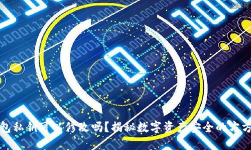 TP钱包私钥可以修改吗？揭秘数字资产安全的方方面面