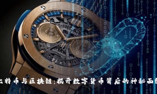 比特币与区块链：揭开数字货币背后的神秘面纱