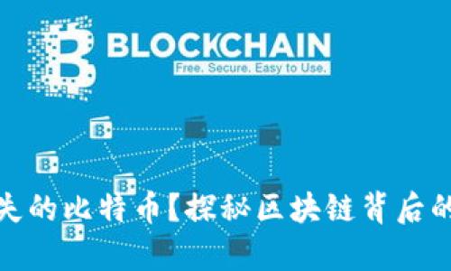 如何找回丢失的比特币？探秘区块链背后的财富与风险