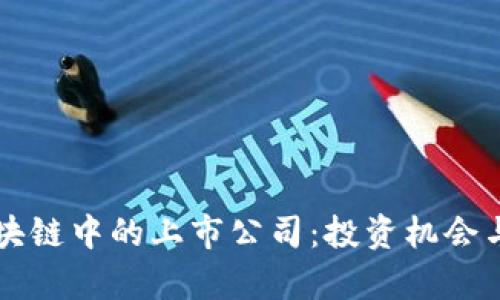 比特币区块链中的上市公司：投资机会与前景分析