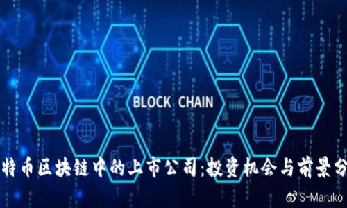 比特币区块链中的上市公司：投资机会与前景分析