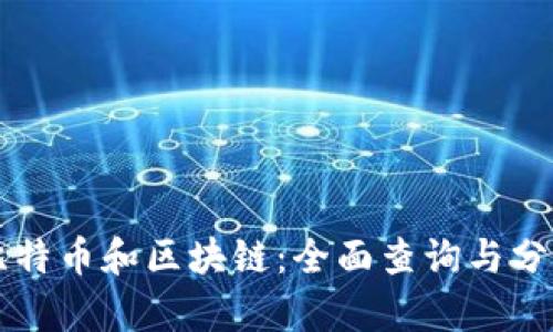 比特币和区块链：全面查询与分析