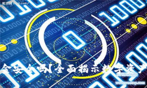 TP钱包资金安全吗？全面揭示数字资产安全隐患