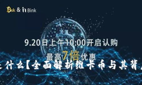 区块链是什么？全面解析维卡币与其背后的科技