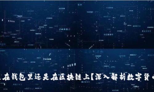 U币到底是在钱包里还是在区块链上？深入解析数字货币存储方式