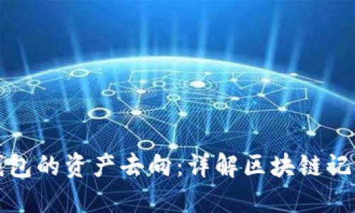 如何追踪TP钱包的资产去向：详解区块链记录与追踪技巧