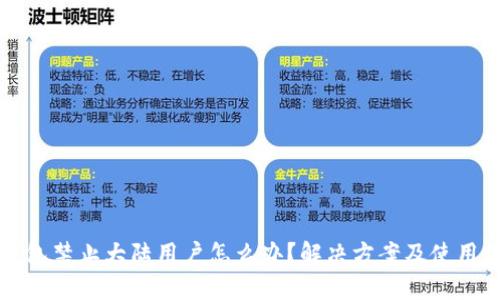 TP钱包禁止大陆用户怎么办？解决方案及使用指南
