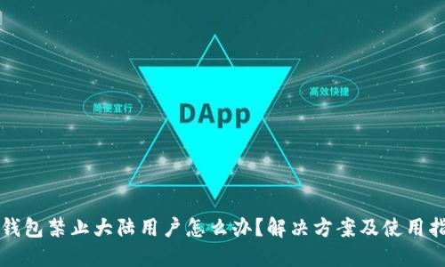 TP钱包禁止大陆用户怎么办？解决方案及使用指南