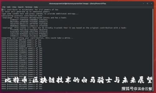 比特币：区块链技术的白马骑士与未来展望