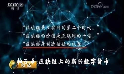 柚子币：区块链上的新兴数字货币