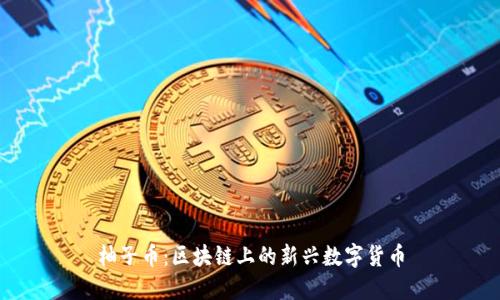 柚子币：区块链上的新兴数字货币