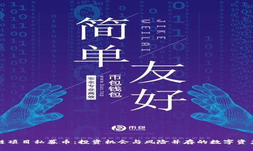 区块链项目私募币：投资机会与风险并存的数字资产之旅