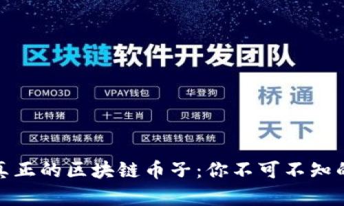深入探讨真正的区块链币子：你不可不知的投资机会