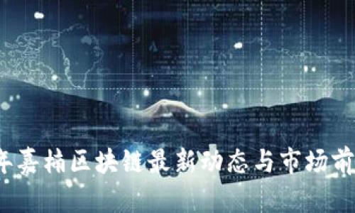 2023年嘉楠区块链最新动态与市场前景详解